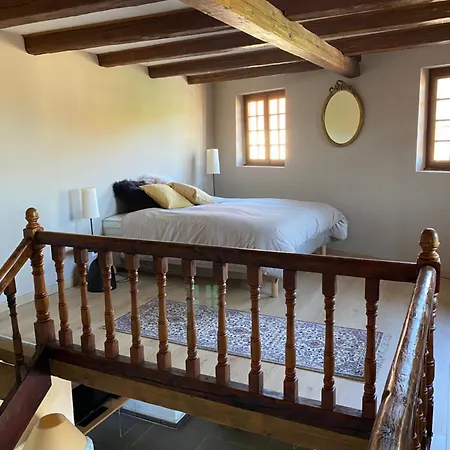 Alsacienne Villa *