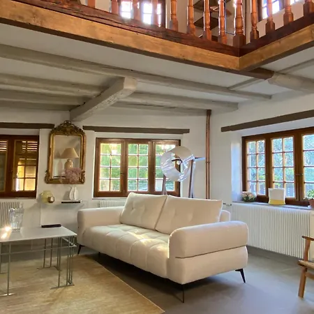 Alsacienne Villa Ittenheim